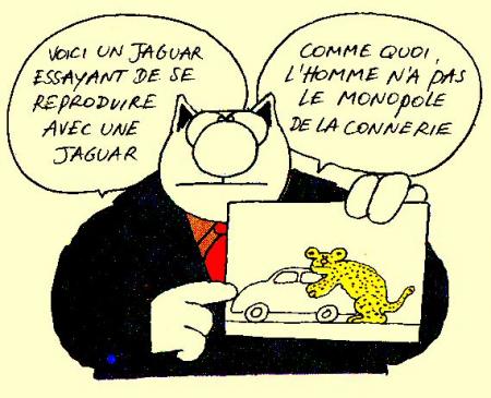 Chat-de-Geluck