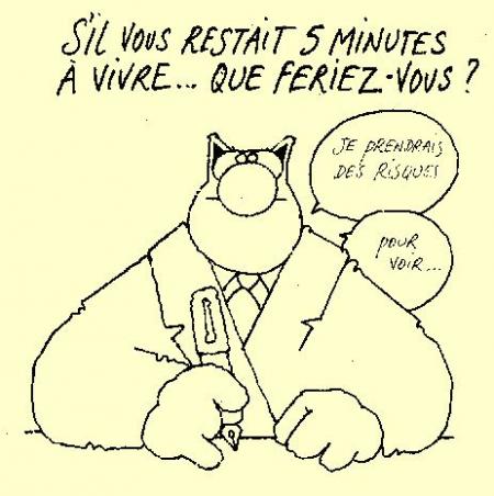 Chat-de-Geluck